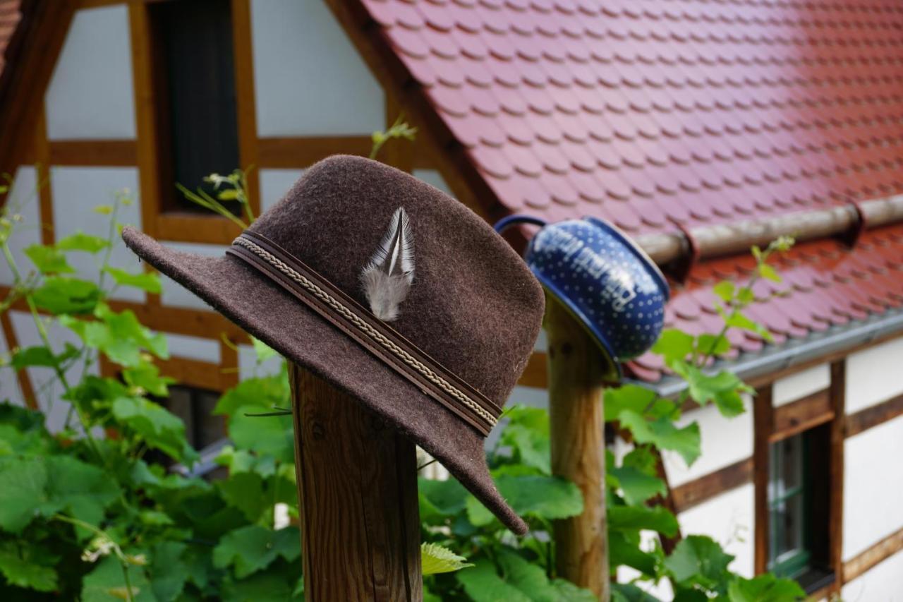 Balancehaus Kohren-Sahlis, Dein Kurhaus In Sachsen Hotel Luaran gambar